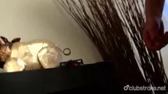 চালান রাগড ড্যাডি মার্ক এইচডিতে পায়ূ পায়